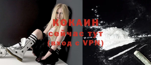 трава Лабытнанги