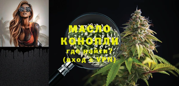 индика Нижневартовск