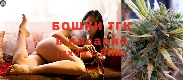спиды Ладушкин